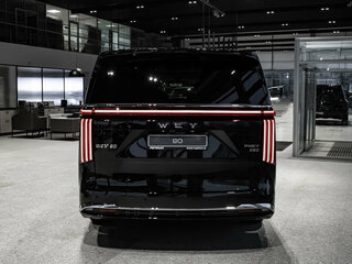 2025 Wey 80 Premium 37.96 kWh, серый, 7199000 рублей, вид 4