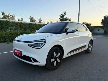 Dongfeng Nammi 01