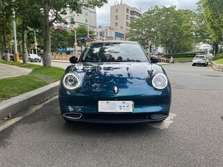 2021 Ora Good Cat 46 kWh I, зелёный, 1430000 рублей, вид 3