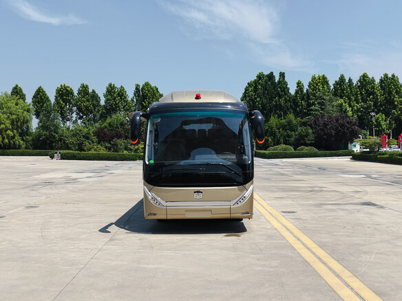 2026 Zhong Tong Navigator, золотистый, 14138748 рублей - вид 4