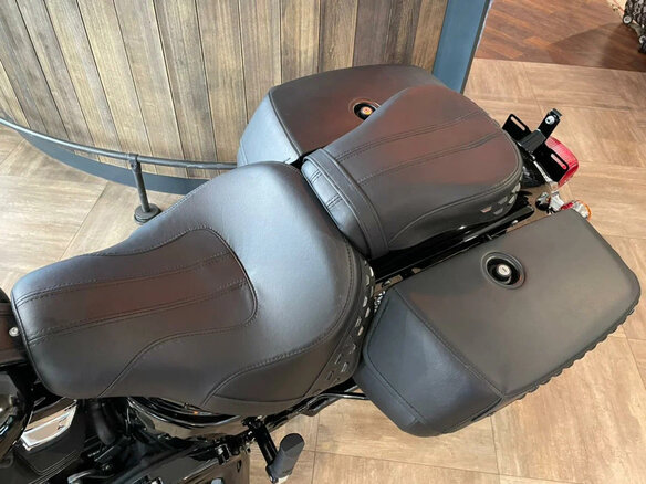 2021 Harley-Davidson Heritage, чёрный, 3400000 рублей - вид 16