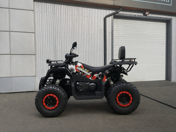 2026 Bison Warrior 200, чёрный, 162500 рублей - вид 1