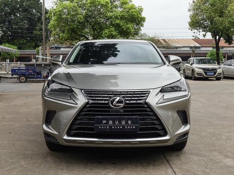 2021 Lexus NX 200 I Рестайлинг, серый, 2420000 рублей, вид 4