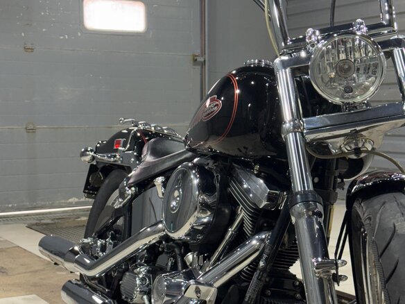 1998 Harley-Davidson Softail Custom, чёрный, 2000000 рублей - вид 2