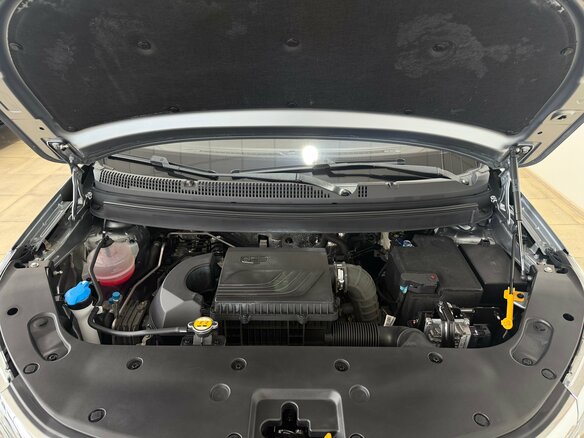 2024 Livan X3 Pro, серый, 1400000 рублей - вид 31