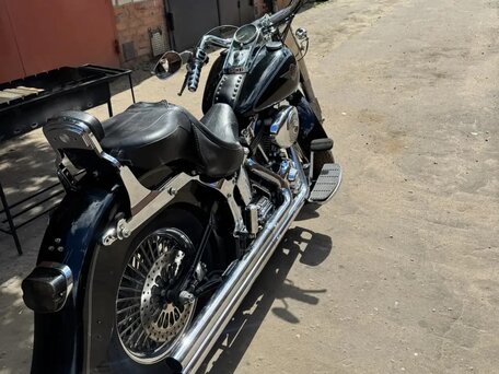 2004 Harley-Davidson Bad Boy, чёрный, 670000 рублей, вид 4