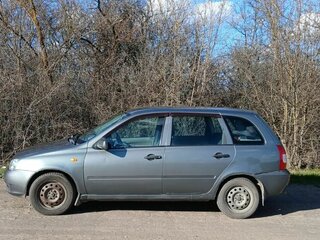 2010 Lada (ВАЗ) Kalina I, серый, 300000 рублей, вид 4