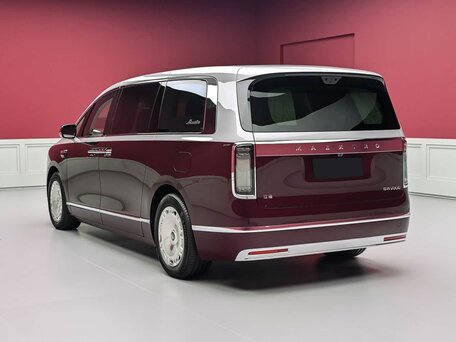2026 Maextro V V800, пурпурный, 25200000 рублей, вид 5
