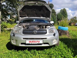 2003 Toyota RAV4 II (XA20) Рестайлинг, серый, 695000 рублей, вид 3