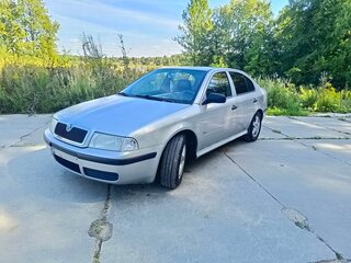 2002 Skoda Octavia I (A4) Рестайлинг, серый, 285000 рублей, вид 1