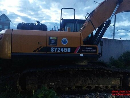 2023 Sany SY245H, жёлтый, 10130000 рублей, вид 2