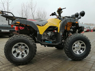 2026 Raptor MAX PRO 250, жёлтый, 231900 рублей, вид 3