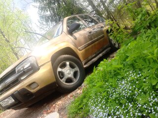 2002 Chevrolet TrailBlazer I, золотистый, 300000 рублей, вид 5