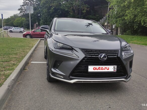 2021 Lexus NX 300h I Рестайлинг, серый - вид 19