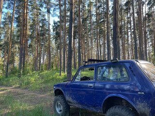 1985 Lada (ВАЗ) 2121 (4x4) I, синий, 260000 рублей, вид 5