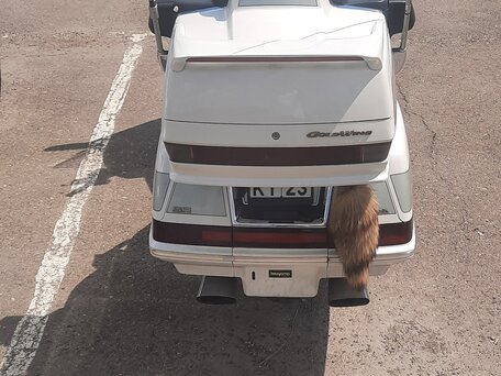 1999 Honda GL 1500 Gold Wing, белый, 670000 рублей, вид 5