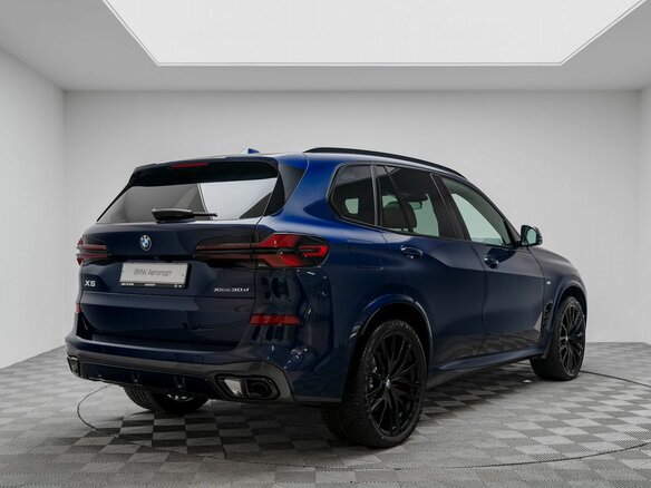 2025 BMW X5 30d IV (G05/G18) Рестайлинг, синий - вид 9