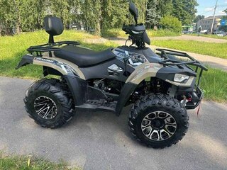 2025 Linhai D300, серебристый, 240000 рублей, вид 5
