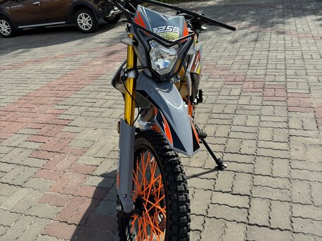 2025 Sycmmc 250, серый, 110000 рублей, вид 3