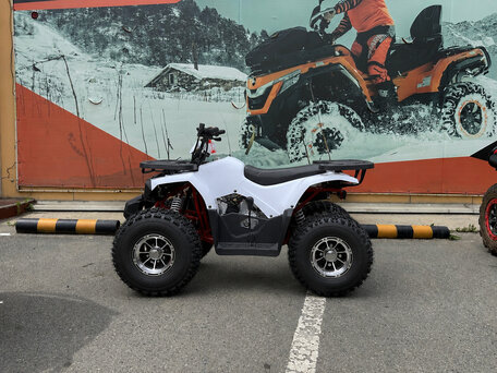 2026 Tao Motor Hunter 125, белый, 97300 рублей, вид 3