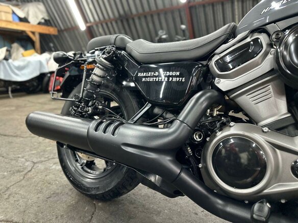 2023 Harley-Davidson Nightster, серый, 920000 рублей - вид 19