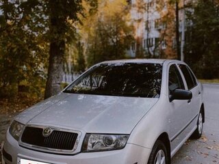 2005 Skoda Fabia I Рестайлинг, серый, 280000 рублей, вид 1