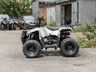 2026 Motoland ATV 110 Rider, серый, 73700 рублей, вид 3