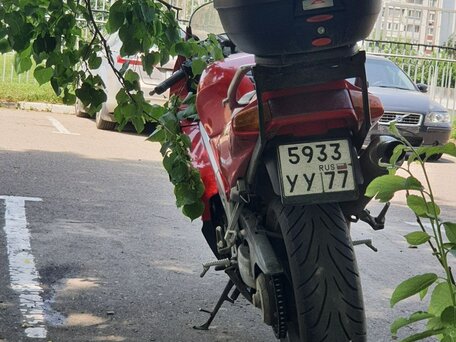 1994 Honda VFR 750, красный, 330000 рублей, вид 4