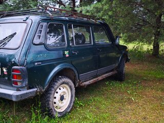 2004 Lada (ВАЗ) 2131 (4x4) I, зелёный, 210000 рублей, вид 5