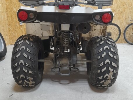 2022 Promax ATV 300, белый, 250000 рублей, вид 5