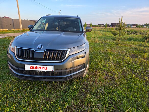2019 Skoda Kodiaq I, серый, 2700000 рублей