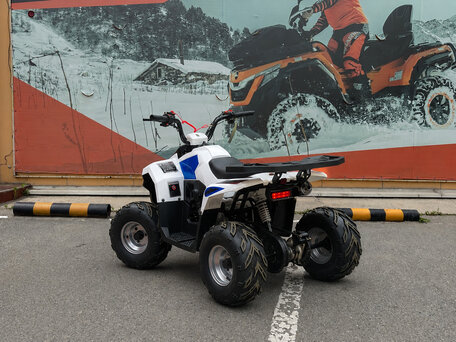 2026 Bison Eagle, белый, 94800 рублей, вид 5