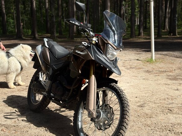 2019 Racer Panther, коричневый, 145000 рублей