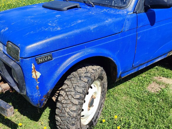 2003 Lada (ВАЗ) 2121 (4x4) I Рестайлинг, синий, 300000 рублей - вид 14