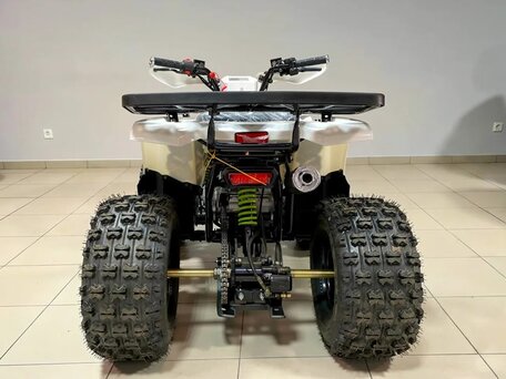 2026 Motoland ATV 150 Wild, чёрный, 145100 рублей, вид 4