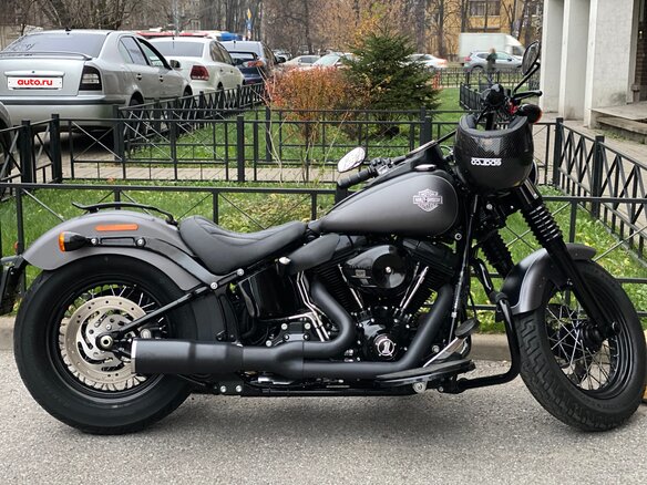 2017 Harley-Davidson Softail Slim, серый, 1800000 рублей - вид 5