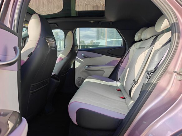 2024 BYD Dolphin 44.9 kWh I, розовый, 1240000 рублей - вид 8