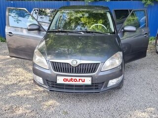 2010 Skoda Fabia II Рестайлинг, серый, 499000 рублей, вид 1