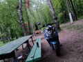 2020 Stingear Dingo, синий, 70000 рублей - вид 2