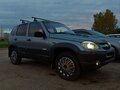 2011 Chevrolet Niva I Рестайлинг, серый - вид 10