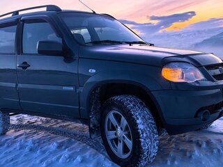2013 Chevrolet Niva I Рестайлинг, серый, 550000 рублей, вид 2