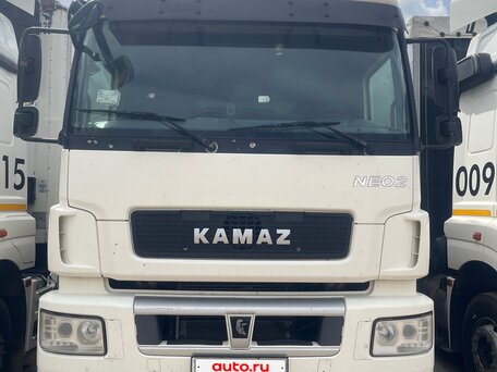 2022 КамАЗ 5490 NEO, белый, 2350000 рублей, вид 1