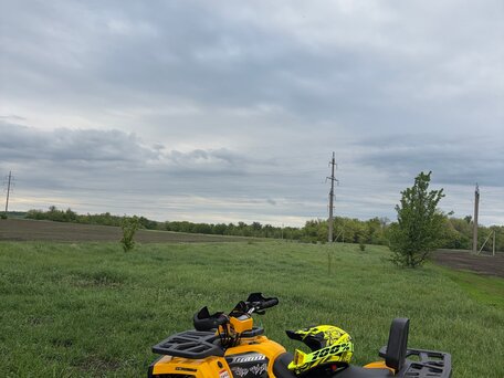 2020 Motoland Wild Track 200, жёлтый, 100000 рублей, вид 2