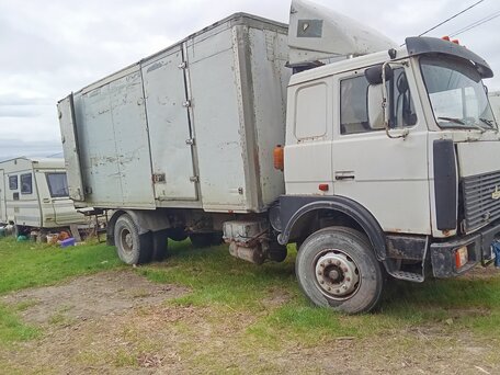 2006 МАЗ 4370, белый, 650000 рублей, вид 2