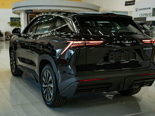 2025 Jetour Dashing I, чёрный, 3029900 рублей, вид 5