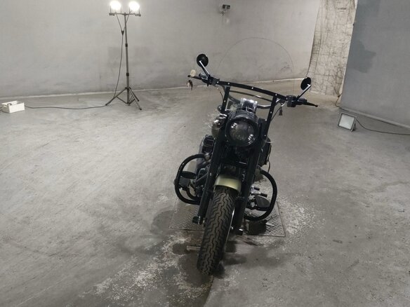 2017 Harley-Davidson Softail Slim, зелёный, 1287000 рублей - вид 3