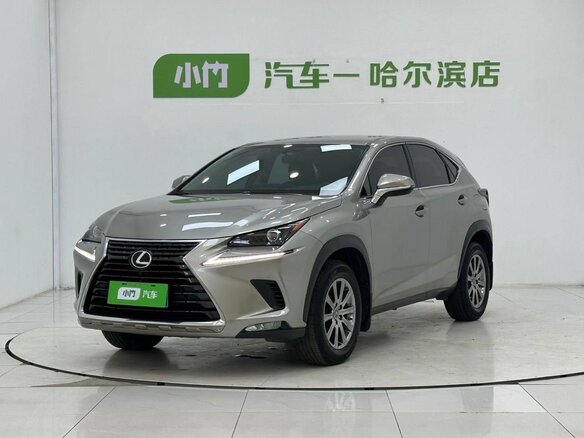 2020 Lexus NX 200 I Рестайлинг, серый, 3090000 рублей