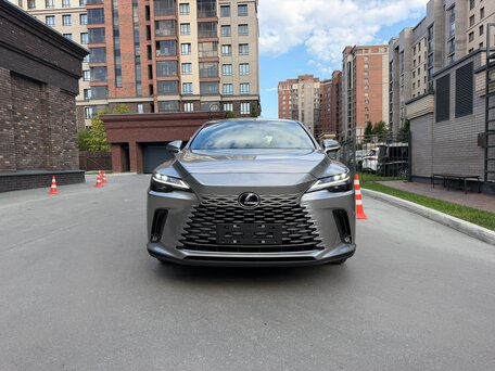 2025 Lexus RX 300 V, серый, 7670000 рублей, вид 1