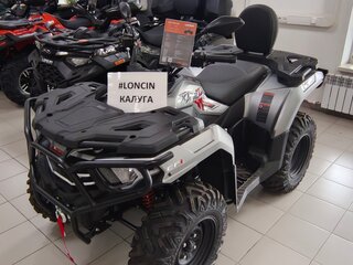 2026 Loncin XWolf 300 Max, серый, 485000 рублей, вид 2