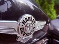 2018 Harley-Davidson Fat Boy, чёрный, 2399999 рублей - вид 4